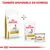 Royal Canin Urinary S/O en formato seco y húmedo. Texto: 'TAMBIÉN DISPONIBLE EN HÚMEDO'. Se muestran saco, sobre y lata del producto con la marca visible. Royal Canin Urinary S/O en formato seco y húmedo. Texto: 'TAMBIÉN DISPONIBLE EN HÚMEDO'. Se muestran saco, sobre y lata del producto con la marca visible.