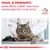 Vraag je dierenarts welke ROYAL CANIN veterinaire voeding geschikt is voor je kat. VETERINARY NUTRITION.