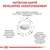 NUTRITION SANTÉ DÉVELOPPÉE SCIENTIFIQUEMENT. Teneurs contrôlées en magnésium et calcium, faibles en sodium et phosphore. Favorise pH urinaire optimal. Enrichi en antioxydants et EPA-DHA.