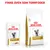 Royal Canin Urinary S/O våtfoder och torrfoder för katt. Text: Finns även som torrfoder. Förpackningar med kattbild och produktnamn synliga.