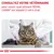 Consultez votre vétérinaire pour savoir quel aliment ROYAL CANIN est adapté à votre chat.