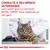 Consulte o seu médico veterinário para saber qual é o alimento ROYAL CANIN mais adaptado ao seu gato.