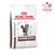 Royal Canin Veterinary Gastrointestinal cat food, packaging with cat and Veterinary Nutrition logo.