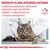 Noudatettava eläinlääkärin antamia ruokintasuosituksia valittaessa kissalle ROYAL CANIN -ruokavaliota tai erikoisruokavaliota. VETERINARY NUTRITION.