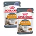 Lot mixte 24 x 85 g Royal Canin en gelée et en sauce - Hair & Skin Care en sauce et en gelée