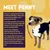 Text describes Penny, a young dog with a sensitive tummy whose digestion improved after eating Sensitive dog food, and includes owner feedback on firmer stools. Illustration of Penny shown.
