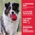 Chien avec un jouet KONG rouge dans la gueule. Texte : Le caoutchouc KONG est non toxique, sûr, naturel, durable, ne s’effrite pas, respecte les dents et est robuste pour les mâcheurs puissants.