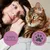 thrive Complete Saver Pack 24 x 75g - cat wet food - Chicken with Vegetables thrive Complete Saver Pack 24 x 75g - cat wet food - Chicken with Vegetables