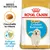 Sacchetto Royal Canin Puppy Golden Retriever, testo visibile: Crocchetta su misura, Sostegno alle difese naturali, BREED NUTRITION.