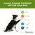 Grössentabelle für Hundezubehör: XL über 27kg, L 18-27kg, M 12-18kg, S 7-12kg, XS 2-7kg. Whimzees Wellness Logo unten rechts.