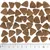Triangular brown kibble pieces arranged above a ruler showing size in centimetres, demonstrating the shape and approximate dimensions of the product.