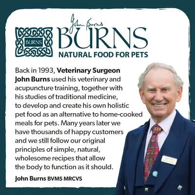 Burns Natural Food for Pets. Text explains that in 1993, Veterinary Surgeon John Burns created holistic pet food as an alternative to home-cooked meals, focusing on simple, natural recipes.
