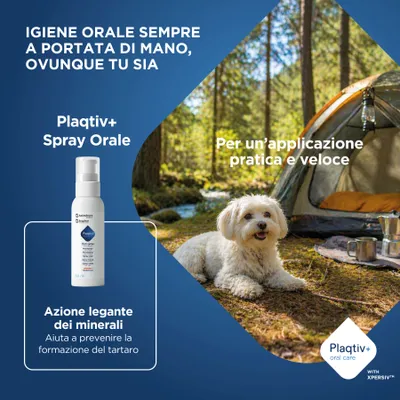Plaqitv+ Spray orale, 60 ml. L'azione che lega i minerali aiuta a prevenire la formazione del tartaro. Applicazione pratica e veloce anche fuori casa. Plaqitv+ Spray orale, 60 ml. L'azione che lega i minerali aiuta a prevenire la formazione del tartaro. Applicazione pratica e veloce anche fuori casa.