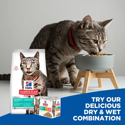 Hill's Science Plan Perfect Weight Adult 1+ Chicken