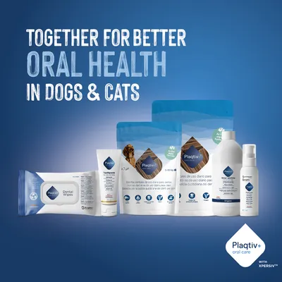 Plaqtiv+ oral care products for dogs and cats. Text: Together for better oral health in dogs & cats. Various dental care products shown. Plaqtiv+ oral care products for dogs and cats. Text: Together for better oral health in dogs & cats. Various dental care products shown.