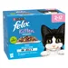 Felix Kitten Original Pouches in Jelly