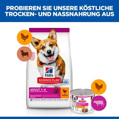 Hill's Science Plan Adult 1-6 Small & Mini bis 10 kg, Trocken- und Nassnahrung mit Huhn. Gesundes 100% ausgewogenes Futter, keine künstlichen Farbstoffe oder Aromen.