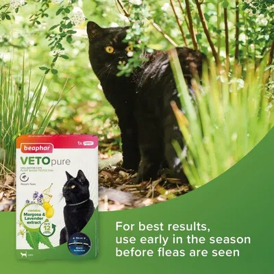 Beaphar VETOpure collar for cats with margosa and lavender extract, repels fleas. Text: For best results, use early in the season before fleas are seen.