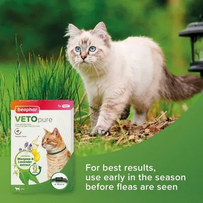 Product image showing plant-based flea collar packaging with advice: For best results, use early in the season before fleas are seen. Contains margosa and lavender extract, lasts up to 12 weeks.
