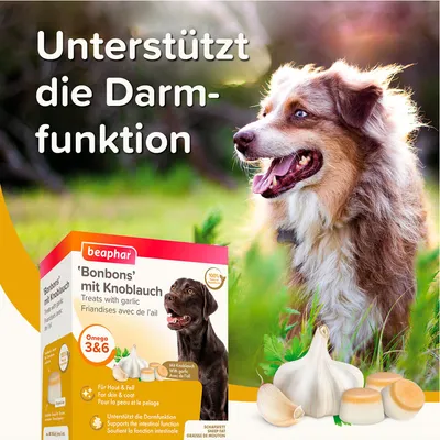 Beaphar Bonbons mit Knoblauch. Unterstützt die Darmfunktion. Omega 3&6, für Haut und Fell. 100% natürliche Zutaten. Verpackung zeigt Knoblauch und Bonbons.