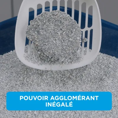 Ever Clean® Total Cover Litière agglomérante - Sans parfum