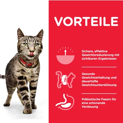 VORTEILE. Sichere, effektive Gewichtsreduzierung mit sichtbaren Ergebnissen. Gesunde Gewichtserhaltung und dauerhafte Gewichtsunterstützung. Präbiotische Fasern für eine schonende Verdauung. Texte en allemand.