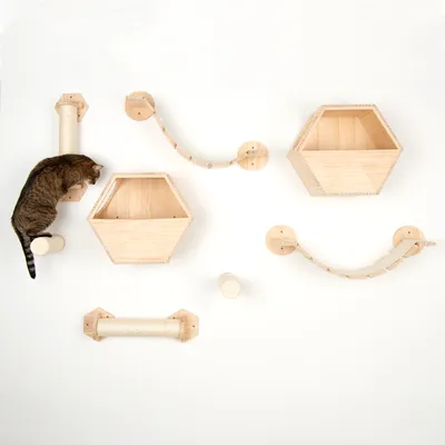 Juego de escalada y juego de pared de madera con dos cajas hexagonales, postes rascadores y puentes colgantes. Gato trepando por uno de los postes rascadores.
