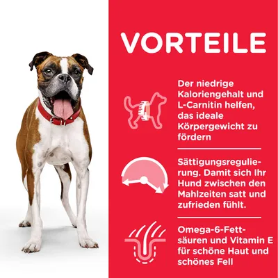 VORTEILE: Niedriger Kaloriengehalt und L-Carnitin fördern ideales Körpergewicht. Sättigungsregulierung für Zufriedenheit zwischen Mahlzeiten. Omega-6-Fettsäuren und Vitamin E für Haut und Fell.