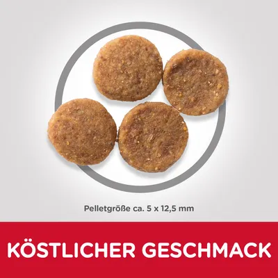 Vier runde Pellets mit der Grösse ca. 5 x 12,5 mm. Text: Köstlicher Geschmack.