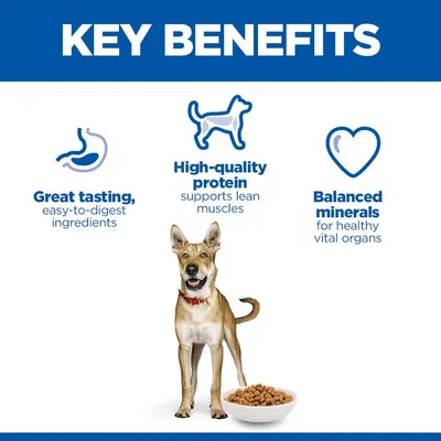 Hill's Science Plan Adult 1+ Performance Chicken