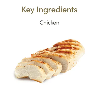 Teksti: Key Ingredients, Chicken. Viipaloitu grillattu kananrinta valkoisella taustalla.