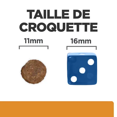 Taille de croquette : 11 mm à côté d’un dé bleu de 16 mm, texte visible « TAILLE DE CROQUETTE » en haut de l’image.