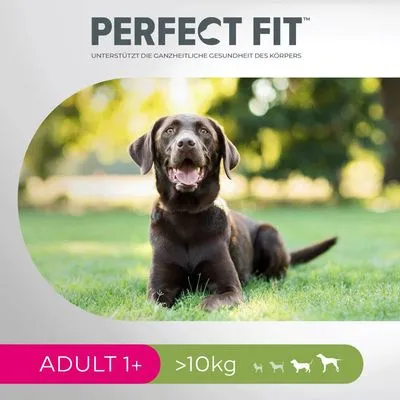PERFECT FIT, ADULT 1+, >10 kg. Ondersteunt de holistische gezondheid van het lichaam (Duitse tekst). Afbeelding van een grote hond op gras.