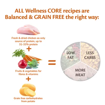 Image explains Wellness CORE recipes: chicken as sole protein source with 31-33% protein, fruits and vegetables for fibre and vitamins, grain-free potato carbs; results in more meat, less carbs, low fat.