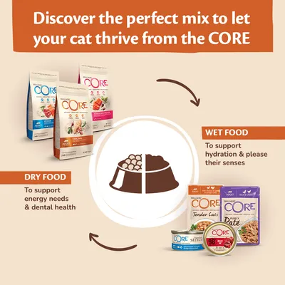 Image showing CORE dry food to support energy needs and dental health, and wet food to support hydration and please senses. Suggests mixing both for optimal nutrition.
