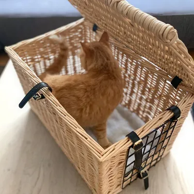Cesto in vimini con griglia metallica e chiusure in pelle nera, aperto, con un gatto arancione all’interno. Il fondo sembra rivestito di tessuto chiaro.
