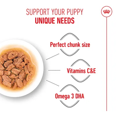 Tray with food pieces, Text: Perfect chunk size, Vitamins C&E, Omega 3 DHA. Note on support for the specific needs of puppies.