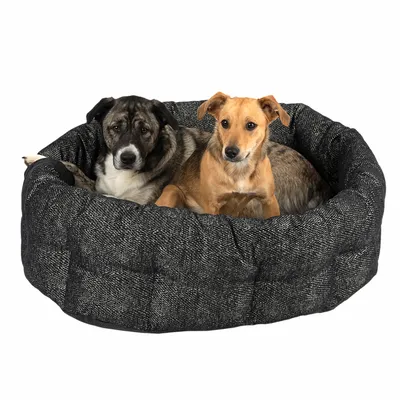 Due cani sdraiati in un letto per cani rotondo e imbottito in tessuto grigio.