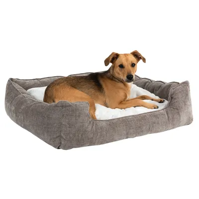 Hund liegt in einem grauen Hundebett mit weisser, weicher Polsterung.