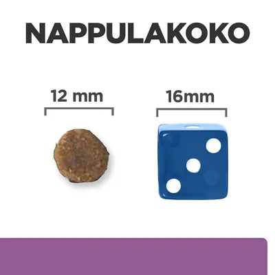 Nappulakoko: nappula 12 mm, vertailun vuoksi sininen noppa 16 mm. Teksti 'NAPPULAKOKO' ylhäällä.