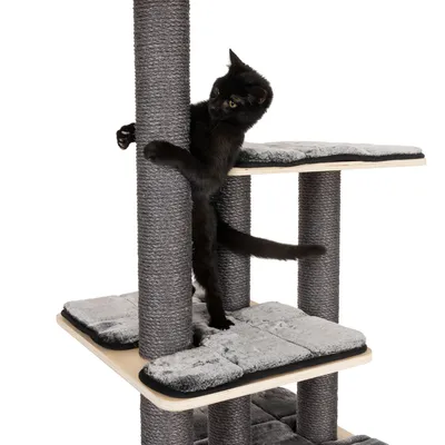 Kratzbaum mit mehreren Ebenen, Sisalstangen und gepolsterten Liegeflächen. Schwarze Katze klettert an einer der Stangen.