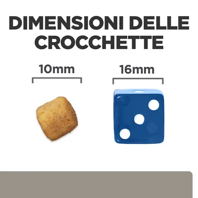 Dimensioni delle crocchette: confronto tra una crocchetta da 10 mm e un dado blu da 16 mm, testo visibile 'DIMENSIONI DELLE CROCCHETTE', '10 mm', '16 mm'.