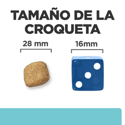 Tamaño de la croqueta: 28 mm comparado con un dado azul de 16 mm. Imagen muestra una croqueta y un dado con medidas indicadas debajo de cada uno.