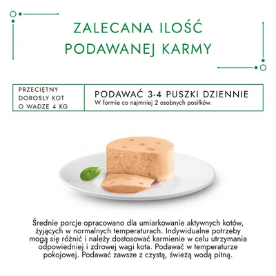 Zalecana ilość karmy: przeciętny dorosły kot 4 kg – podawać 3–4 puszki dziennie w co najmniej 2 posiłkach. Na zdjęciu porcja mokrej karmy na talerzu.