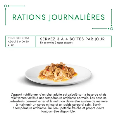 Rations journalières pour un chat adulte moyen 4 kg : servez 3 à 4 boîtes par jour en au moins 2 repas séparés. Photo d’une assiette de nourriture humide pour chat.