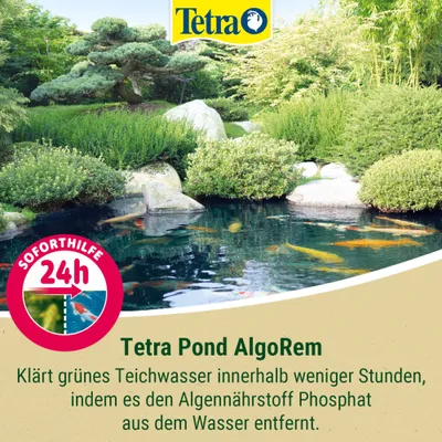 Tetra Pond AlgoRem klärt grünes Teichwasser in wenigen Stunden, indem es Phosphat entfernt. Soforthilfe 24h. Tetra Pond AlgoRem klärt grünes Teichwasser in wenigen Stunden, indem es Phosphat entfernt. Soforthilfe 24h.