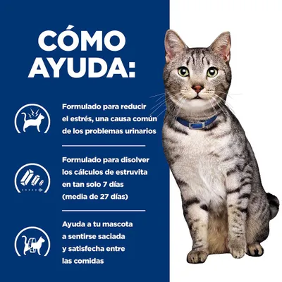 Formulado para reducir el estrés, disolver los cálculos de estruvita en 7 días y proporcionar saciedad entre las comidas. Texto en español con imagen de un gato.