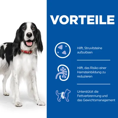 VORTEILE: Hilft, Struvitsteine aufzulösen. Hilft, das Risiko einer Harnsteinbildung zu reduzieren. Unterstützt die Fettverbrennung und das Gewichtsmanagement. Tekst in het Duits.