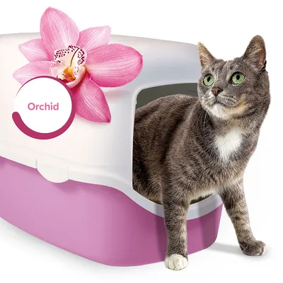 Katzentoilette in Weiß und Pink mit Orchideenmotiv. Katze verlässt die Toilette. Text: Orchid.