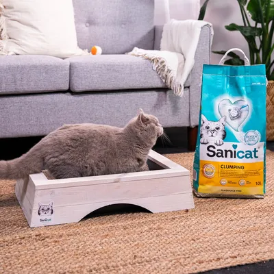 Sanicat Fragrance Free Clumping Cat Litter Sanicat Fragrance Free Clumping Cat Litter
